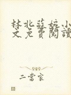 林北苏婉小说全文免费阅读最新章节