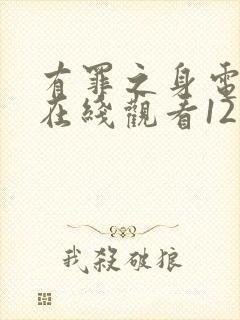 有罪之身电视剧在线观看12集