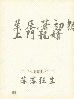 叶辰,萧初然 上门龙婿