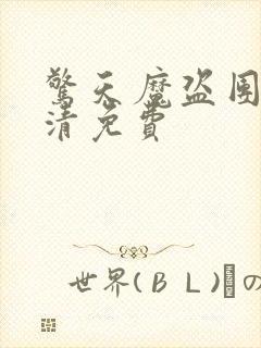 惊天魔盗团2高清免费