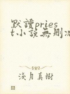 默读priest小说无删减正版在线阅读