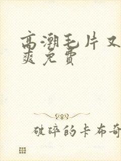 高潮毛片又色又爽免费