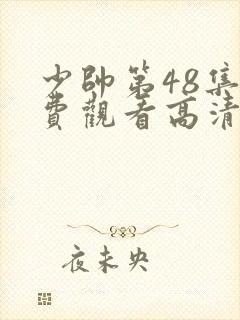 少帅第48集免费观看高清