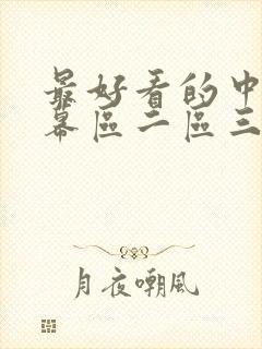 最好看的中文字幕区二区三区