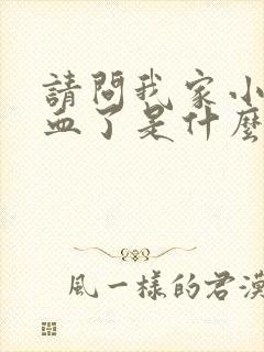 请问我家小狗尿血了是什么原因呀