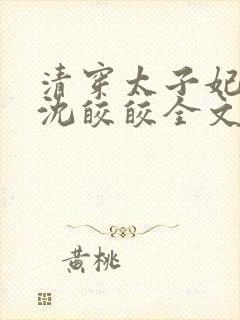 清穿太子妃康熙沈皎皎全文阅读封面