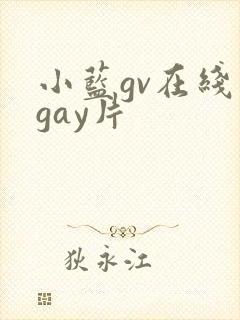 小蓝gv在线看gay片