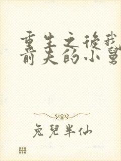 重生之后我成了前夫的小舅娘小说封面