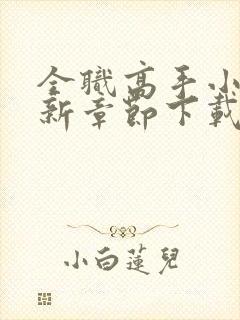 全职高手小说最新章节下载