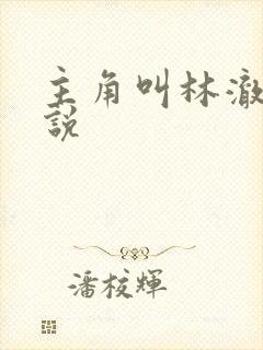 主角叫林澈的小说封面