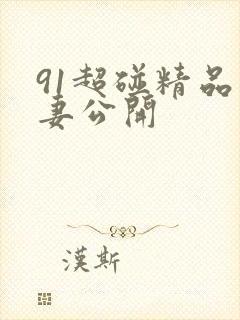 91超碰精品人妻公开
