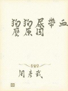 狗狗尿带血是什么原因