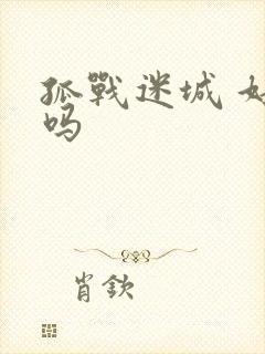 孤战迷城 好看吗