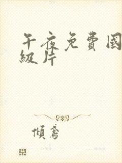 午夜免费国产一级片封面