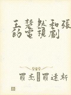 王楚然和张凌赫的电视剧