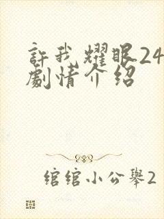 许我耀眼24集剧情介绍