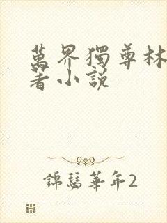 万界独尊林枫原著小说封面