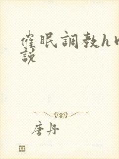 催眠调教h肉小说