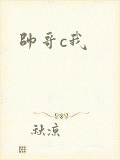 帅哥c我