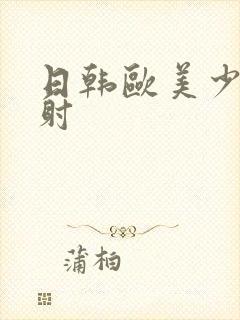 日韩欧美少妇内射