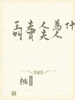 王夫人为什么不叫贾夫人封面