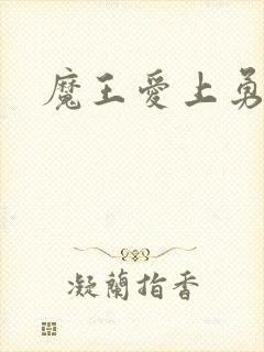 魔王爱上勇者封面