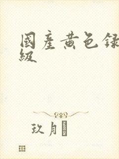 国产黄色录像一级封面