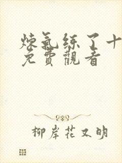 炼气练了十万年免费观看