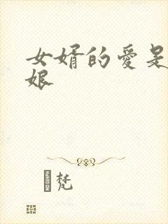 女婿的爱是丈母娘