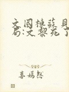 文国栋苏贝大结局:文黎死了封面