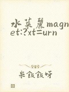 水菜丽magnet:?xt=urn