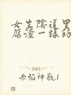 女生阴道里有豆腐渣一样的分泌物封面