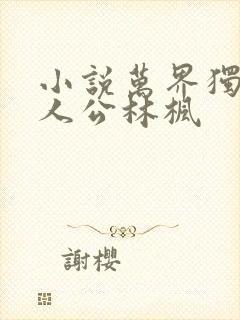 小说万界独尊主人公林枫