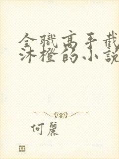 全职高手截胡苏沐橙的小说