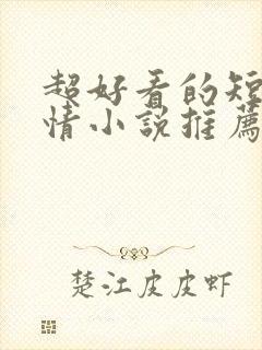 超好看的短篇言情小说推荐