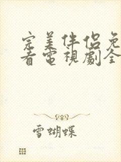 完美伴侣免费观看电视剧全集封面