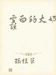 雪白的大奶子小说