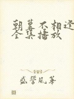 朝暮不相逢短剧全集播放