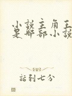 小说主角王斌 是哪部小说