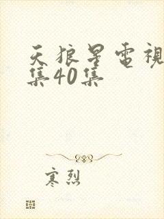 天狼星电视剧全集40集