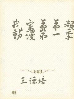 我家弟弟超级棒动漫第一季免费观看