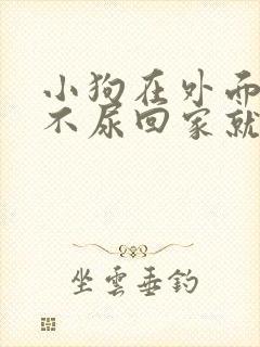 小狗在外面不拉不尿回家就拉