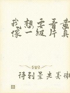 我想要看黄色录像一级片真人封面