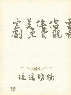 完美伴侣 电视剧 免费观看封面