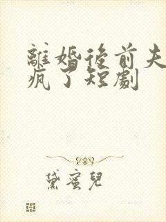 离婚后前夫他悔疯了短剧