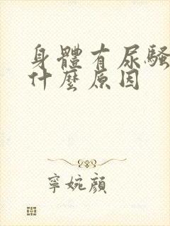 身体有尿骚味是什么原因