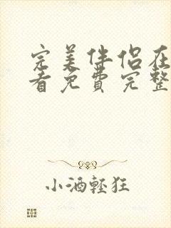 完美伴侣在线观看免费完整观看