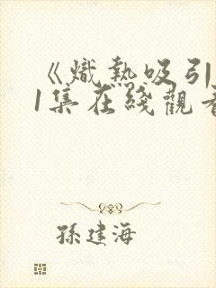 《炽热吸引》31集在线观看