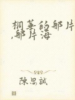 桐华的那片星空,那片海封面