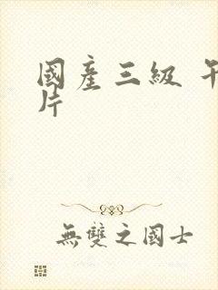 国产三级 午夜片